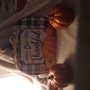 3 PC fall decorative set